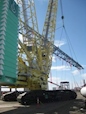 New Crane for Sale working